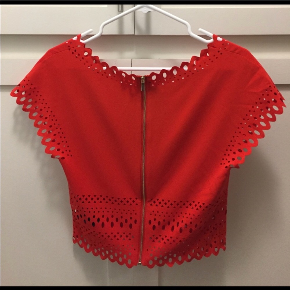 Laser cut crop top Bebe